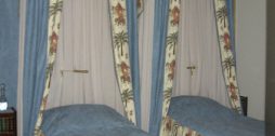 elegant blue canopies with palma and elephant