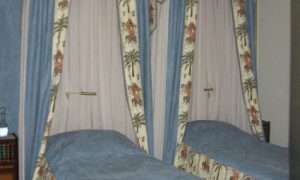 elegant blue canopies with palma and elephant