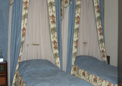 elegant blue canopies with palma and elephant